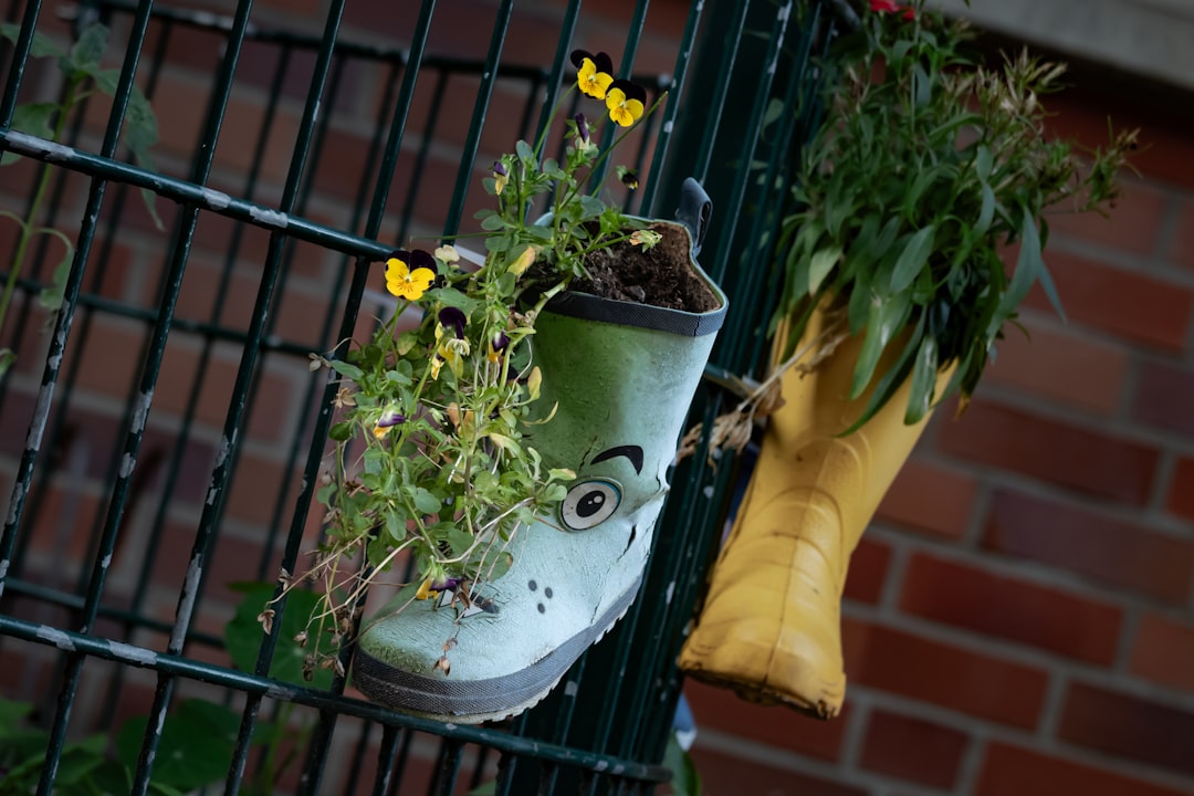 The Ultimate Guide to Choosing Eco-Friendly Home Decor The Ultimate Guide to Choosing Eco-Friendly Home Decor