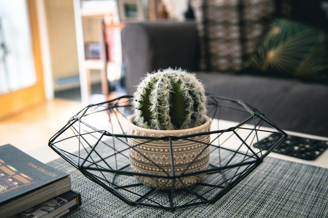 The Benefits of Shopping for Decor Online at Decorauranest The Benefits of Shopping for Decor Online at Decorauranest